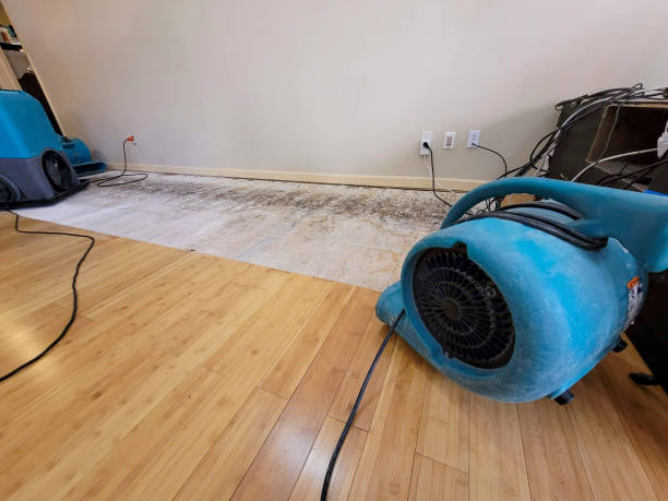 Professional Structural Drying technician working in Chelsea, MI
